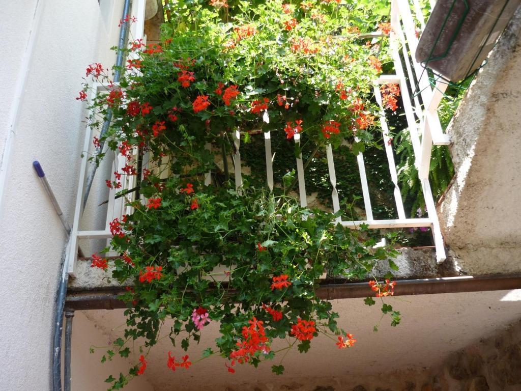 B&B Villa Dubrovnik Garden Luaran gambar